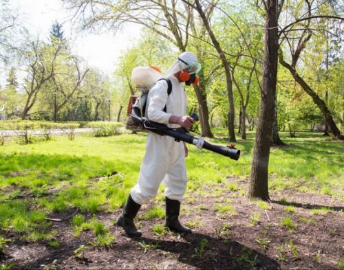 obrabotka-ot-kleshey-768x604