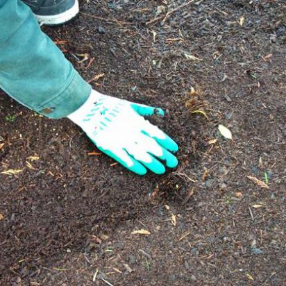 2962310c7f6919db2f5f6342ae96c654