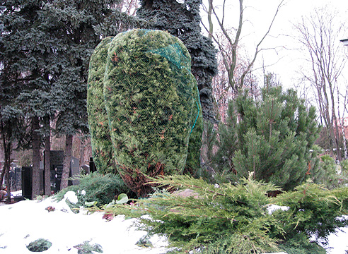 притенение1