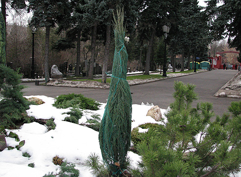 притенение3