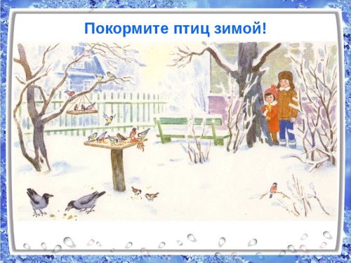 Покорми птиц зимой2