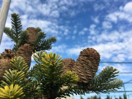 IMG_4083-17-10-19-12-00