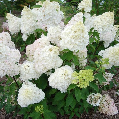 5b585f6afc5c0bc0f22d74615adf9516