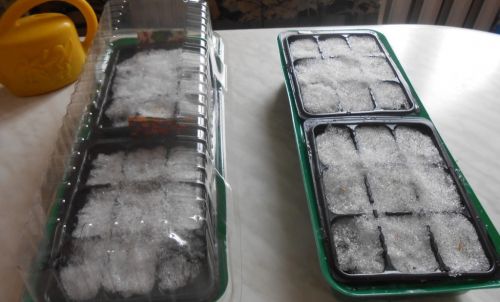 -ящик-крышкой-и-ставим-на-подоконник-e1457256099377-1024x620