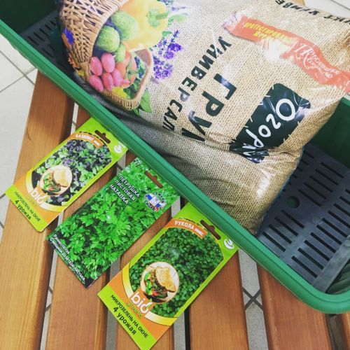 IMG_4542-27-11-19-05-54