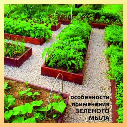 зеленое мыло1