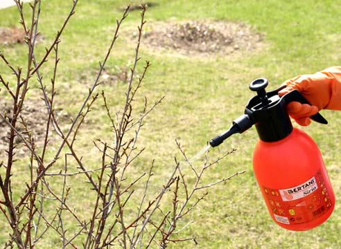 профилактика1