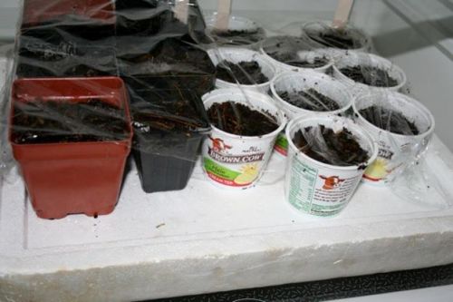 стратификация