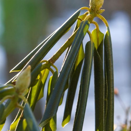 751e62451f1b08724787e536db1d35c1