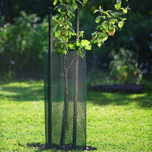 688116479_w640_h640_setka-ot-zajtsev