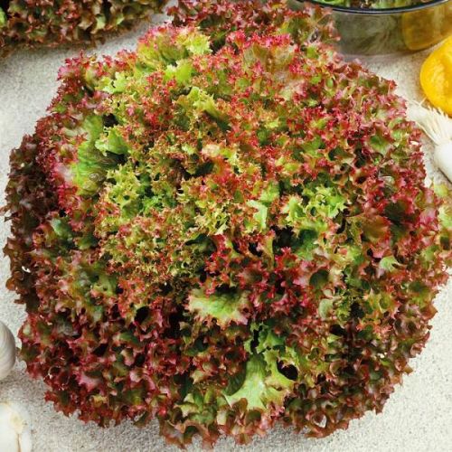 16e9679f_be30_11e7_8477_9c5c8ebecd88_7f65a74a_f709_11e8_b48f_7824afbc889b.resize2