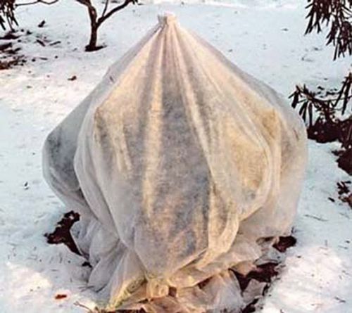 87310c2785263ed955388ad4c2845ffb