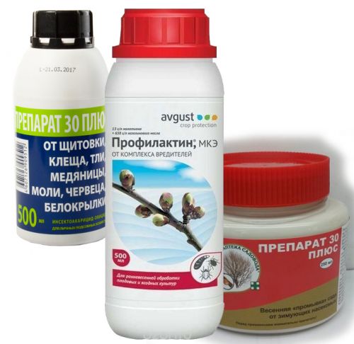 профилактин