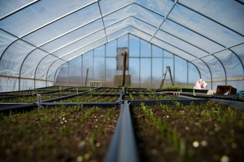 b405b9e278bf347245edab78aa3968d3