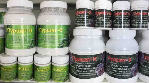 пуршат на сайт