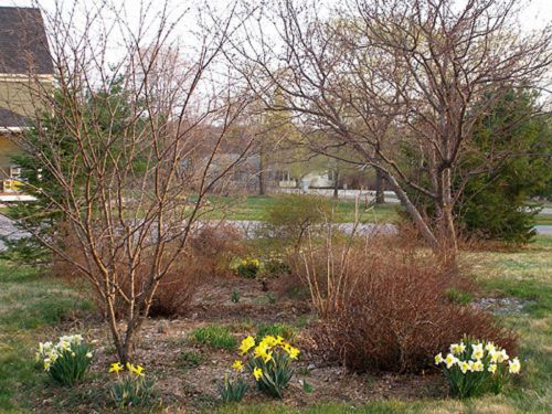 a4d4574cfd7a8aa4d12c31e82e1ebc82