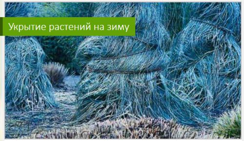 a92c1aab1fe7f3be25650de19799f166