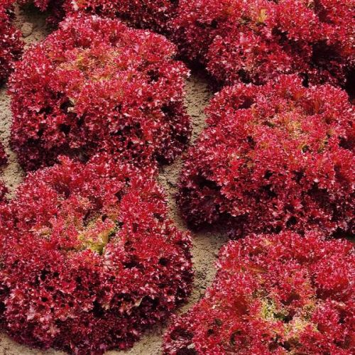 a20d6365_be2f_11e7_8477_9c5c8ebecd88_9beca513_f709_11e8_b48f_7824afbc889b.resize2