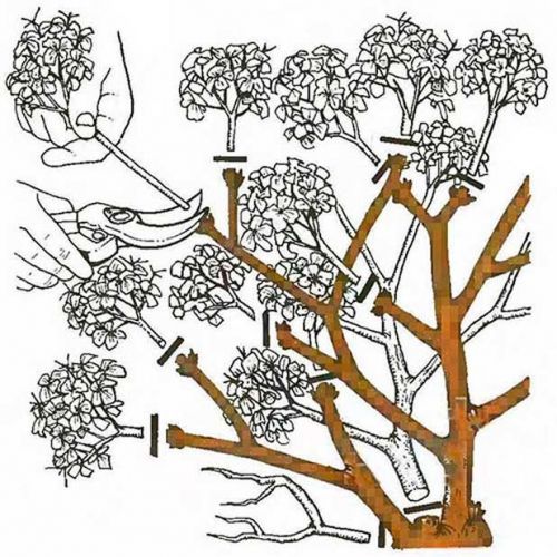 80ac44994f94951c82d25f9e2ea03015