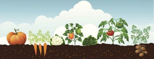 lunnii_kalendar_ogorodnika_na_2020_god_ogorodnii_s_tablicami_na_vse_mesyaca_blagopriyatnimi_dnyami