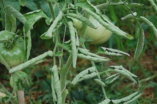 d8d3eb2bfb2067c1f4671b629d131c22