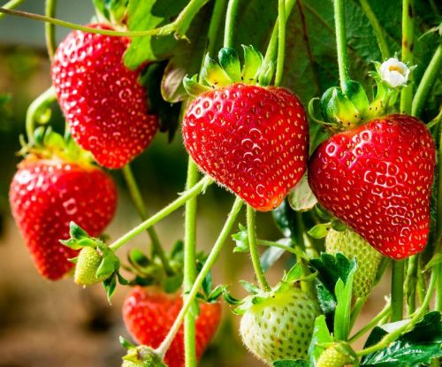 9f7667baa354cfc41344e502bf4cacfd