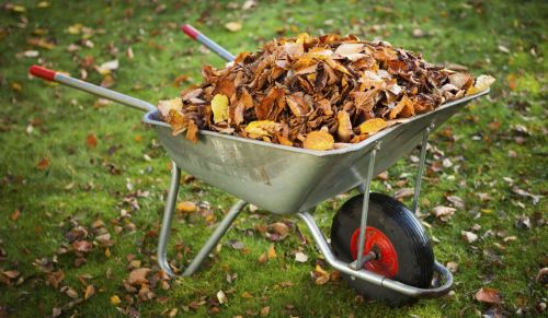 уборка-нейтрал