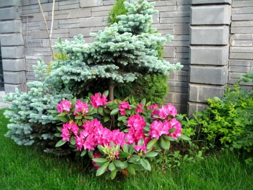 215601_800x600_IMG_6512