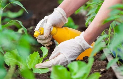 vred_710x460_compressed