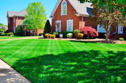 b2b2ded4bbff27277243