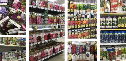 Саженцы в упаковке