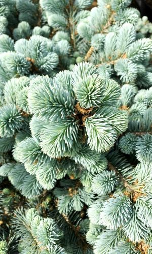 image-15-05-20-04-56-3