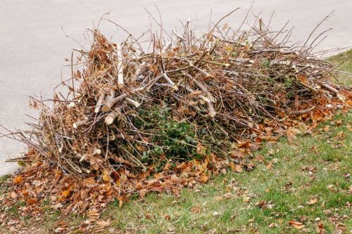 ветки на листьях