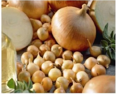 Штуттгартер Ризен