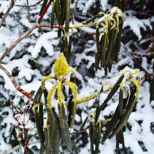 f41045fb5caded203bcbd9fd4a960184