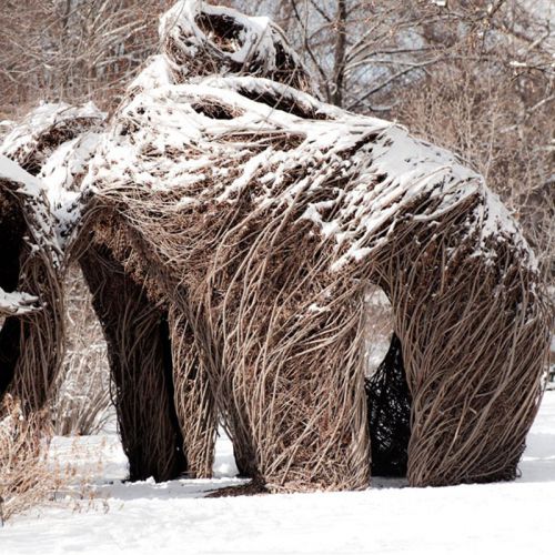 ff91d12f2def8153124648f8549ec8e8