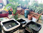 Новое поступление КАШПО для ваших любимых цветов