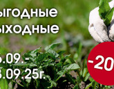 ВЫГОДНЫЕ ВЫХОДНЫЕ 26 - 28 СЕНТЯБРЯ