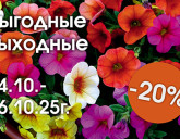 ВЫГОДНЫЕ ВЫХОДНЫЕ 24 - 26 ОКТЯБРЯ!