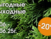 ВЫГОДНЫЕ ВЫХОДНЫЕ 6 - 8 ИЮНЯ В НАШИХ САДОВЫХ ЦЕНТРАХ!