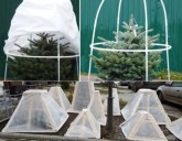 УКРЫВАЕМ РАСТЕНИЯ НА ЗИМУ ПРАВИЛЬНО! СОВЕТЫ ПО УКРЫТИЮ