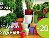 ВЫГОДНЫЕ ВЫХОДНЫЕ 20 - 22 ДЕКАБРЯ