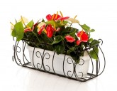 НОВИНКИ КОВАНЫХ ПОДСТАВОК ДЛЯ ЦВЕТОВ на Промышленной 5/5