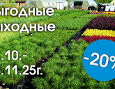 ВЫГОДНЫЕ ВЫХОДНЫЕ 24 ОКТЯБРЯ - 16 НОЯБРЯ В НАШИХ САДОВЫХ ЦЕНТРАХ!