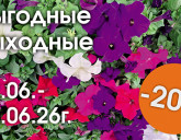 ВЫГОДНЫЕ ВЫХОДНЫЕ В НАШИХ САДОВЫХ ЦЕНТРАХ С 12 ПО 14 ИЮНЯ!