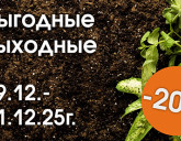 ВЫГОДНЫЕ ВЫХОДНЫЕ 19 - 21 ДЕКАБРЯ!