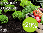 ВЫГОДНЫЕ ВЫХОДНЫЕ 10 - 12 ЯНВАРЯ!