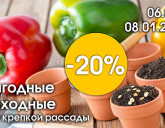 НОВОГОДНИЕ ВЫГОДНЫЕ ВЫХОДНЫЕ С 6 ПО 8 ЯНВАРЯ