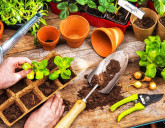 УДАЧНЫЙ ЛУННЫЙ ПОСЕВНОЙ КАЛЕНДАРЬ НА ФЕВРАЛЬ 2024 ГОДА