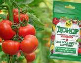 СКИДКА 40% на инновационный препарат «ДОНОР»